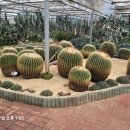 농업기술센터(농업전시관) 이미지