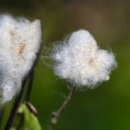 사계플라워 - 관악구 은천로 119-1 | 사계플라워