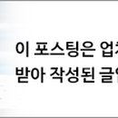 동우세이프티