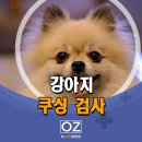 Dr. 오즈 동물병원 이미지