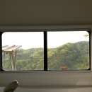 오블리비아테 네이버블로그
