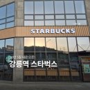 강릉역 | [강릉 여행] 강릉역 스타벅스 새로 오픈, 위치 시간 매장 분위기 후기