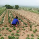 북부농약사 이미지