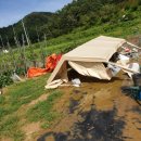 태송농장 이미지