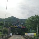 피닉스엔터테인먼트 이미지