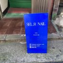 셀르네일