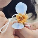 도노스튜디오 | 동탄 리얼 플라워 캔들 클래스 수료증 과정 도노벨라 후기