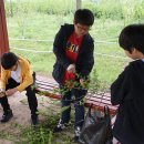 성안중학교 이미지