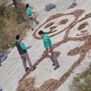 타이거벨리 이미지