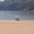 충무공 수산 네이버블로그