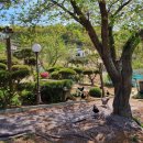 GS25 강화가나안점 이미지