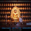 진불사 - 1652 | 진불사