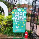 봄빛조명