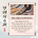명태이야기 - 서구 보듬7로 9 | 명태이야기
