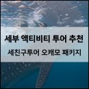 고래주유소 | 투어 추천 오슬롭 고래상어, 가와산 캐녀닝, 모알보알 스노클링 풀 패키지 후기 (마이리얼트립 세친구...