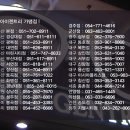 안경 1988 이미지