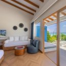 아일랜드코쿤 이미지