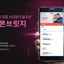 레몬시스템 이미지