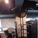 골져스 피트니스 이미지