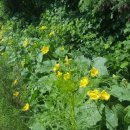 경안천누리길 이미지