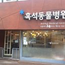 흑석24시동물병원 이미지