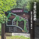 청주 가경동 산책 명소, 갓골근린공원 맨발걷기길 직접 걸어본 후기