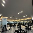 짐포레스트 - 서초구 방배로 136 | 짐포레스트