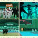 운천태권도 이미지