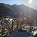 행정사감병기사무소 이미지