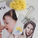 스펀지 | 홈케어 피부관리 라리베라 세안스펀지 사용후기