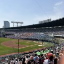 223-2-000010 | [잠실 직관 리뷰] 롯데 vs 두산(5.17) + 3루 레드석 223블록 후기 (낮경기 주의점)