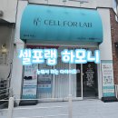 하모니 국내결혼상담 | [일산 다이어트] - 첫 체험 50% 할인 누워서 하는 다이어트?! 일산 셀포랩하모니 솔직후기