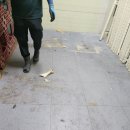 대형크리닝마트 이미지