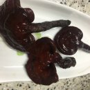 성림유통 티스토리