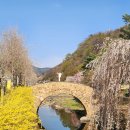 영산 연지못 이미지