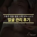 스파루체 이미지
