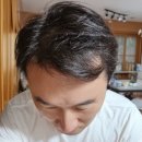 (주)뉴트리바이오 | 판시딜광고