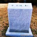 대부해솔길 2코스 이미지