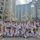 국가대표 영어 태궈니스트 태권도 이미지