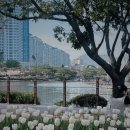 연지공원역 1번출구 | 애기랑 데이트랑 다 되는 김해 봄 명소 | 벚꽃 지고 나서 갔는데 오히려 더 예뻤다??