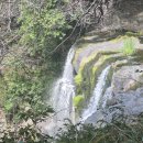 천제연폭포 이미지