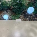 용인충전소 이미지