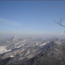호남고래