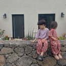 마이리틀아일랜드 이미지