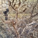 수형농장 이미지