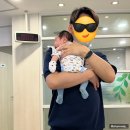 미마자리맥스 vs 에그2 vs 스토케 익스플로리 디럭스 유모차 3대 FLEX? 300일간 굴려본 찐 비교 후기!