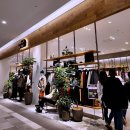 레고닥터A 이미지