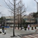고대애기능학생식당 이미지