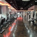 다이어트 PT 헬스 이미지