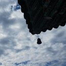 유림MS | 공자, 군자삼락의 참 뜻을 은퇴 후 비로소 깨닫다